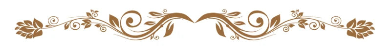 Long Brim Sun Protection Cap
